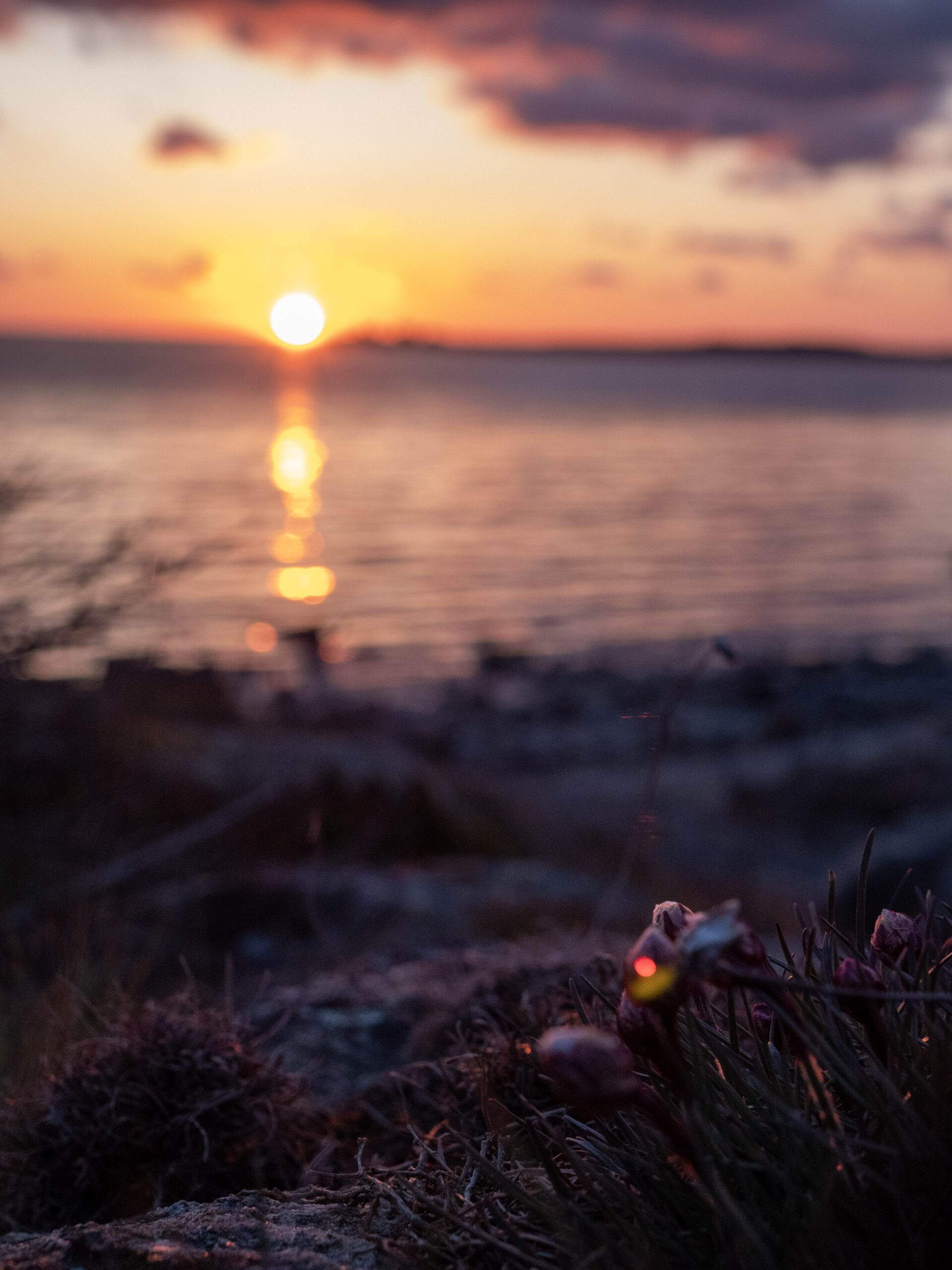 Havet i solnedgång